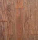 Spotted Gum - Stained